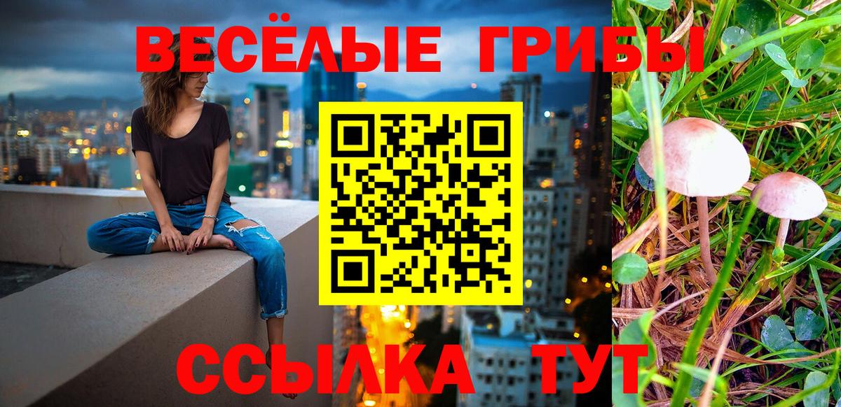 A PVP Артёмовский