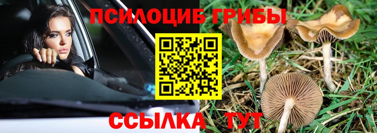 дарнет шоп  Вход с VPN  Артёмовский  Псилоцибиновые грибы прущие грибы 